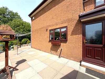 Picture 25